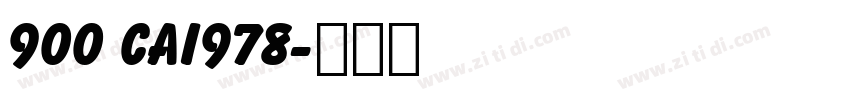 900 CAI978字体转换